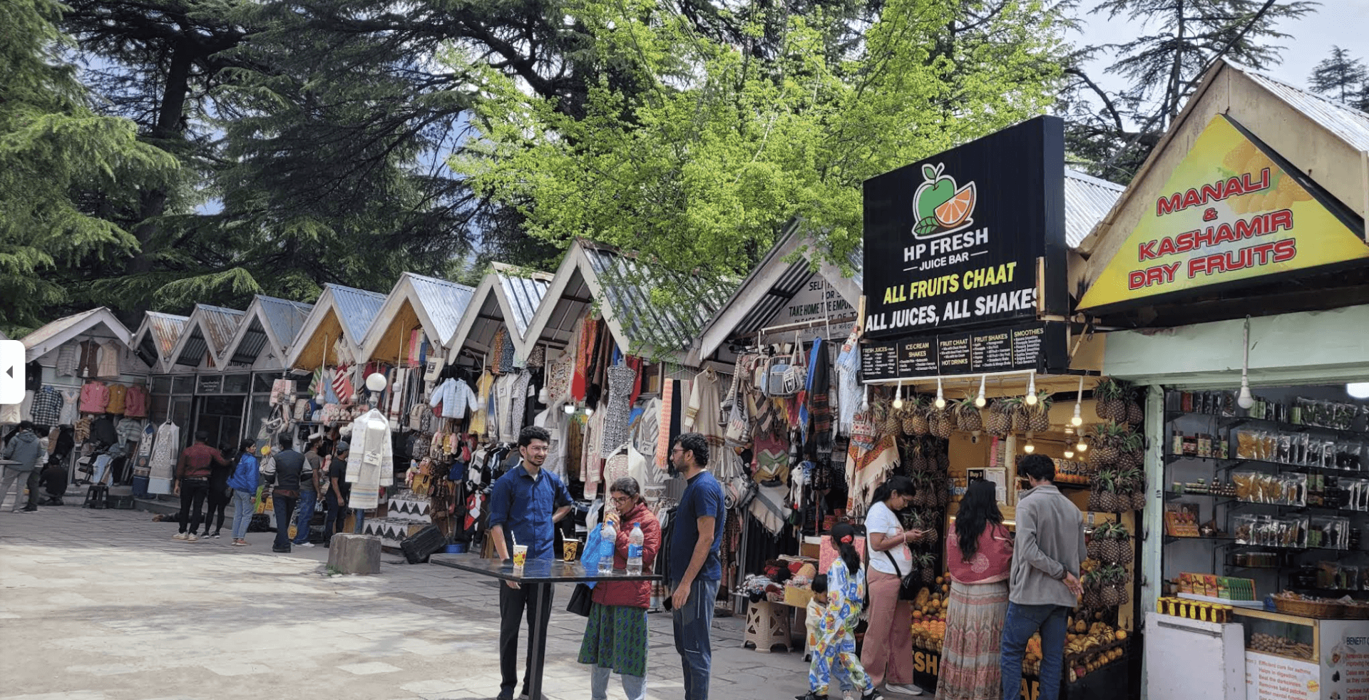 Manali Honeymoon Special