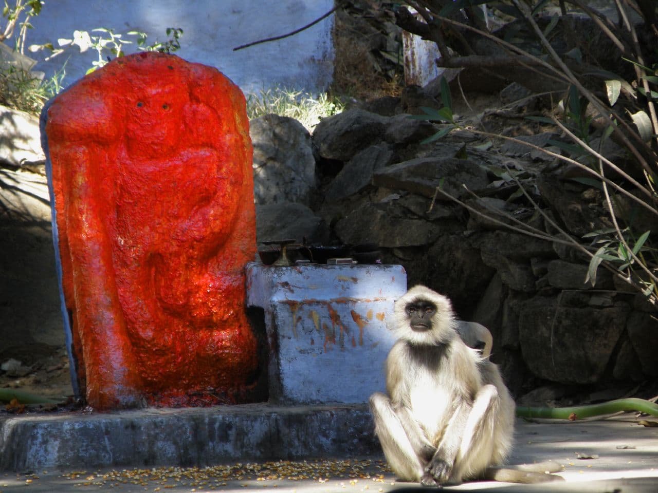 Mount Abu Adventure & Viewpoints Tour