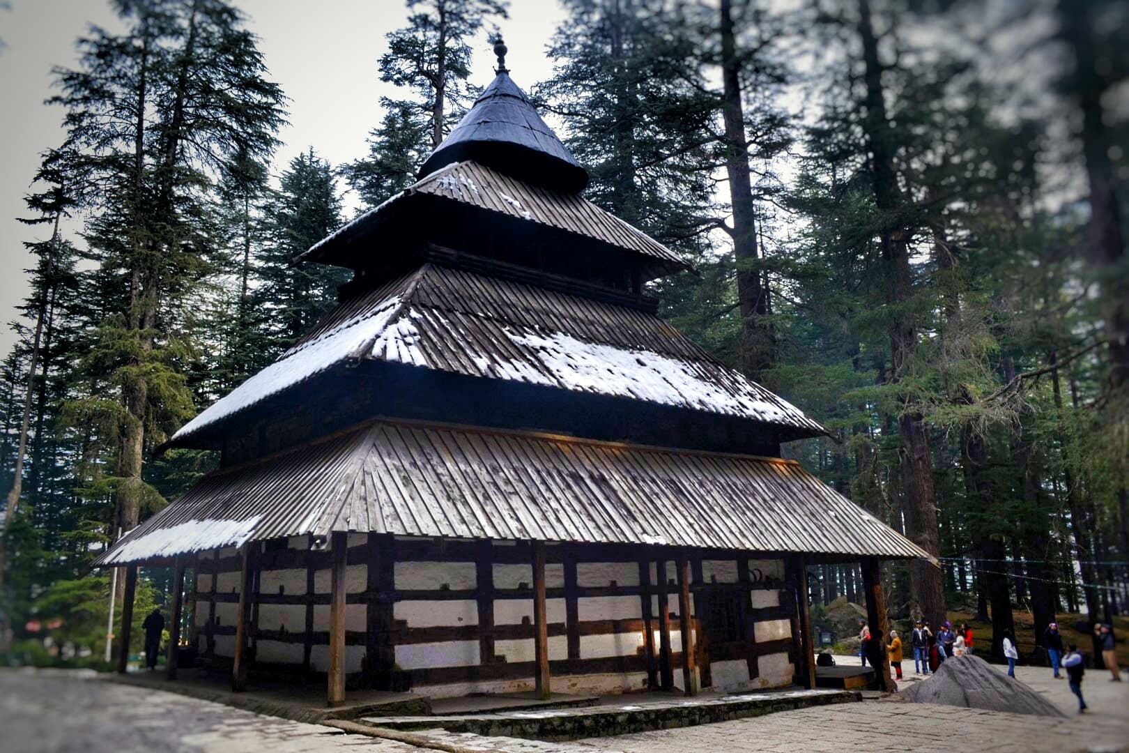 Traditional wooden temple architecture in a cedar forest, Manali